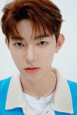 bring green with zb1